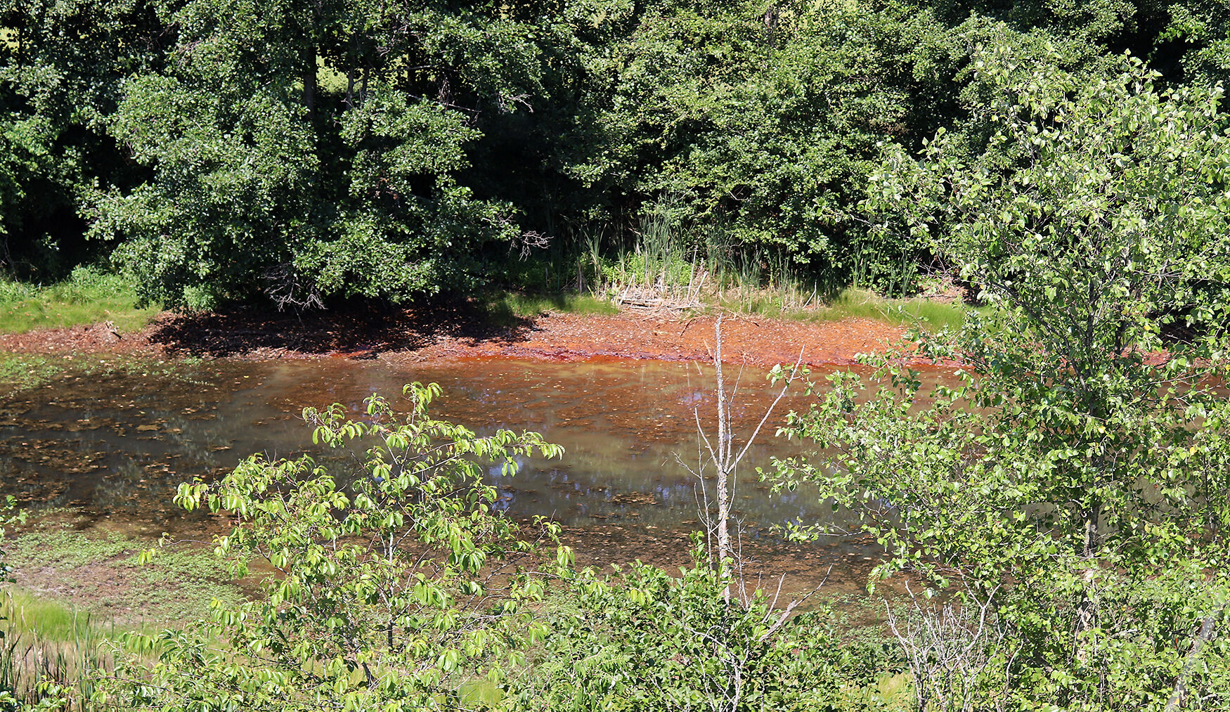 An un-reclaimed pit, located off Route 52